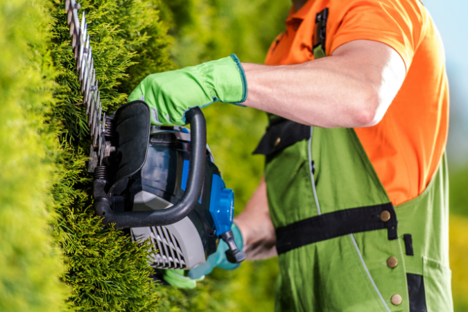 Grounds & Garden Management
