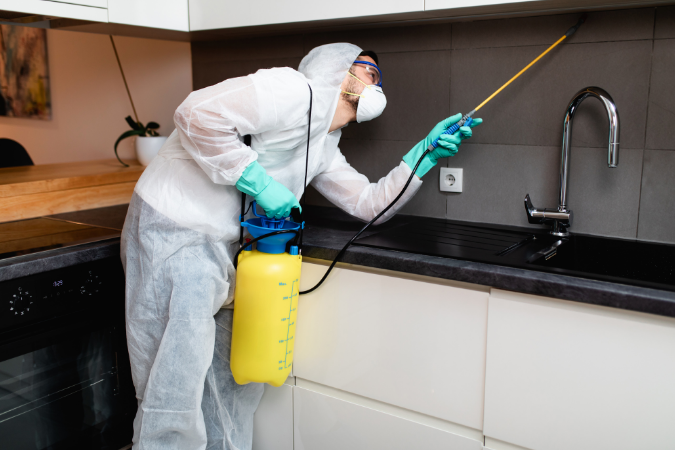 Pest Control