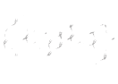 Alpha Indigenous Group